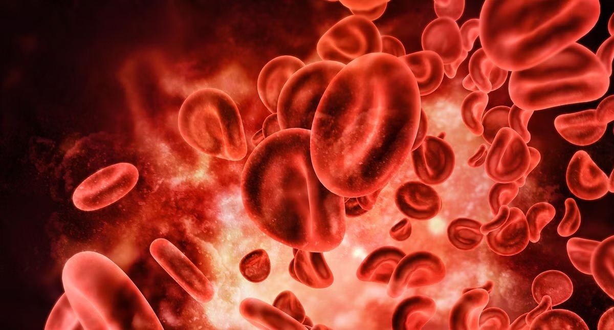 Blood cancer: Know the warning signs