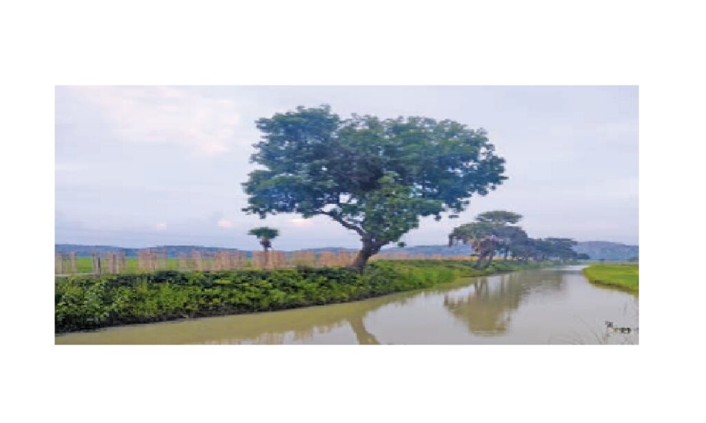 ICICI Bank’s CSR revives Bihar’s ancient ahar-pyne irrigation, boosts ...