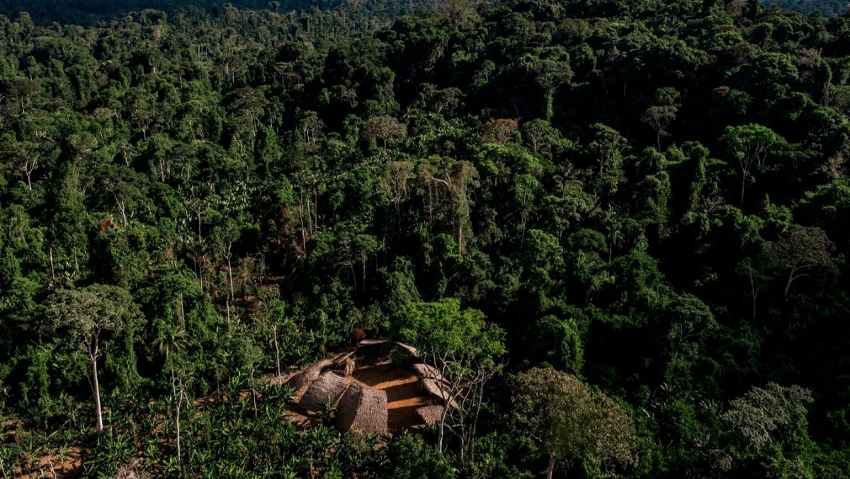 Stiffer Penalties and Forward-Looking Mapping Aim to Halt Jungle Loss